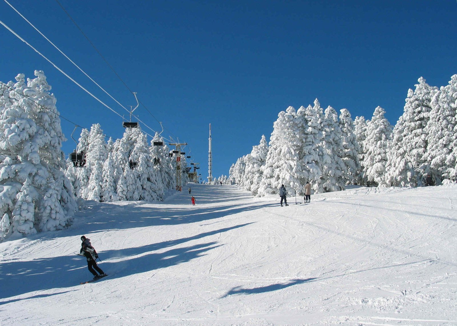 Route Image